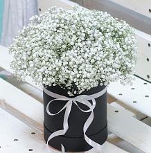 Цветочная композиция из Гипсофила в шляпной коробке #REPLACE_PRED# Васильевке