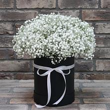 Цветочная композиция из Гипсофила в шляпной коробке в Васильевке