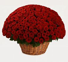 Премиум букет из: Розы в Васильевке