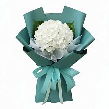 Букет цветов из:  Гортензия в Васильевке